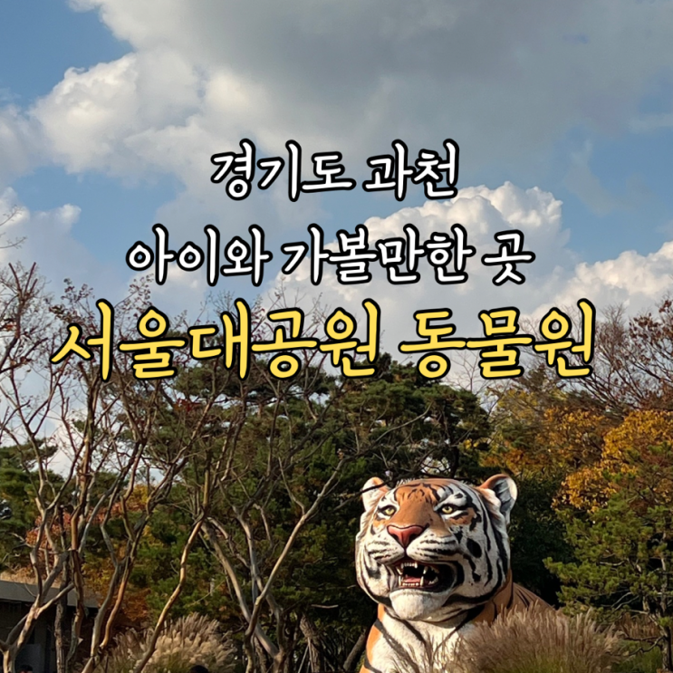  경기도 과천 서울대공원 동물원 주차팁 다자녀 무료 혜택방법