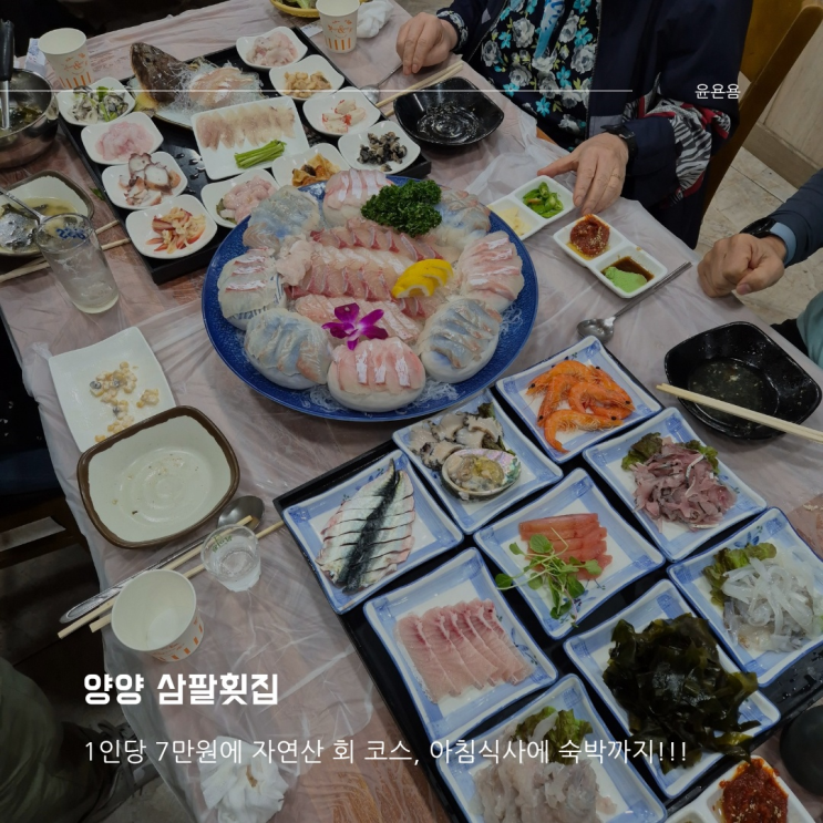 양양 삼팔횟집 숙박패키지 스페셜 회 코스 숙박+저녁회코스+아침 가성비 패키지 내돈내산