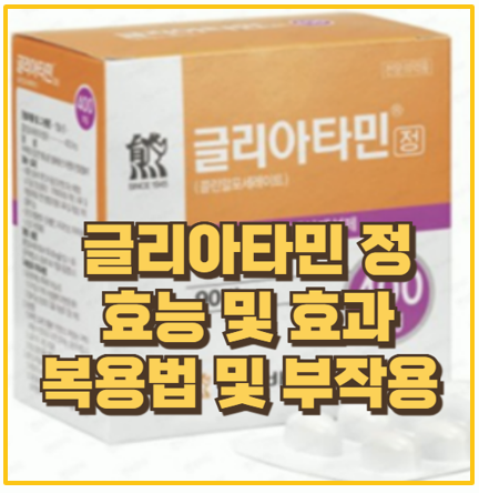  글리아타민정 성분 효과 부작용 복용 방법 총정리
