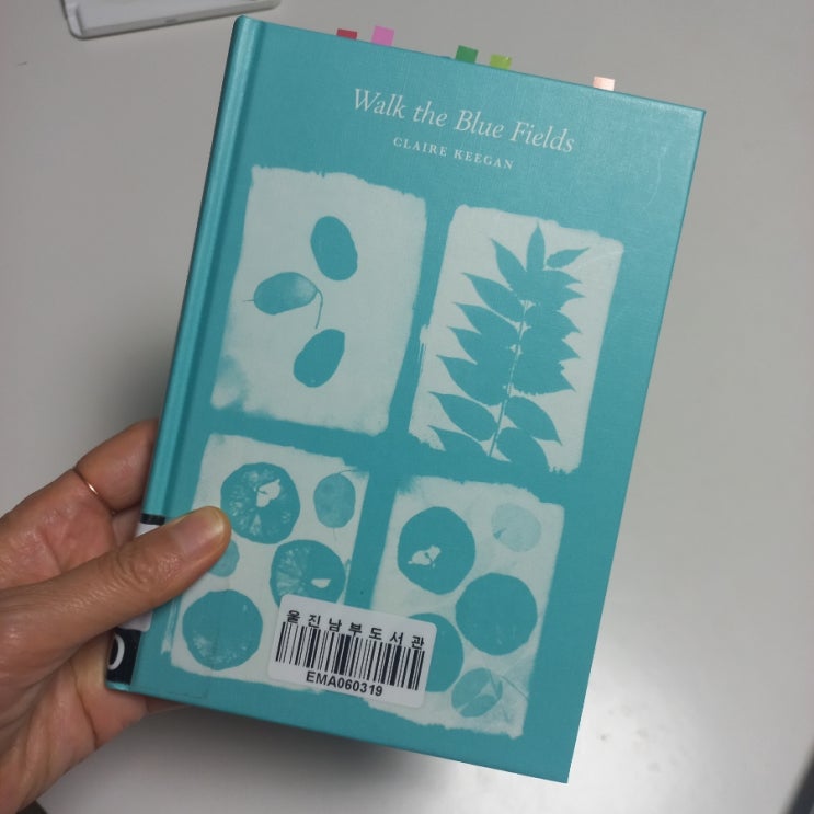  푸른 들판을 걷다 Walk the Blue Fields 클레이 키건 지음