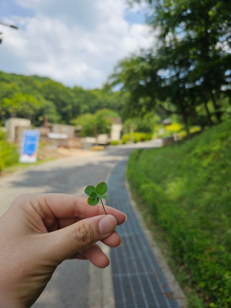 [파주] 율곡수목원 6월 모습