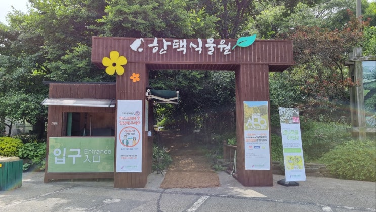  용인시 처인구 서울근교 사진명소 바오밥나무 당일치기 산책하기 좋은 한택식물원