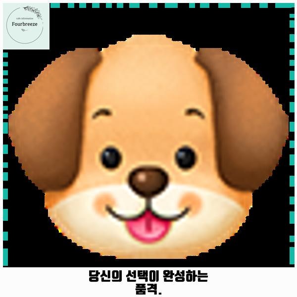 사진 4