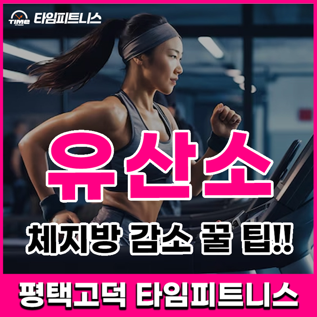  평택고덕 헬스장 - 체지방만 쏙 빼는 유산소 꿀 팁 / 타임피트니스 평택고덕점