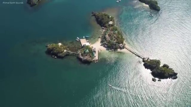  병원서비스총괄매니저 온라인 교육 , 병원서비스총괄매니저 자격증 2주 만에 취득한 과정 확인하세요