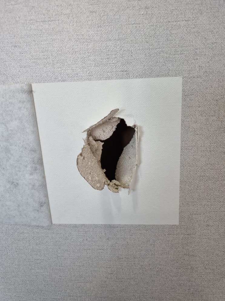  찢어지고 파손된 석고벽과 벽지 복원