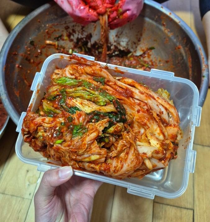 부모님이 인정한 구룡농원 고랭지절임배추 10kg 예약배송 김장배추후기 부모님이 인정한 구룡농원 고랭지절임배추 10kg 예약배송 김장배추후기