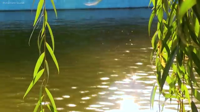  영화심리상담사 자격요건 , 영화심리상담사 자격증 합격한 비법 전격분석