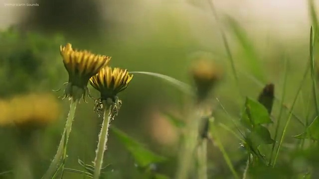  아로마뷰티diy지도사 시험과목 , 아로마뷰티DIY지도사 자격증 쉽고 빠르게 취득한 과정 알려드립니다