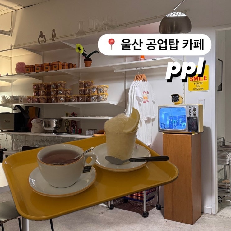  울산시청 근처 감성카페 ppl 내돈내산 후기