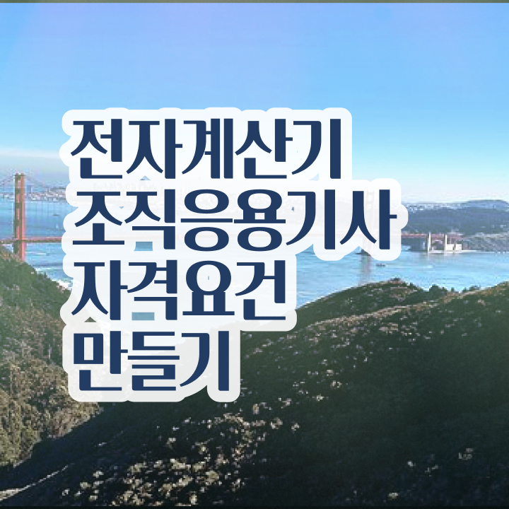  전자계산기조직응용기사 시험응시자격 온라인 수업으로 쉽고 빠르게 완료한 과정