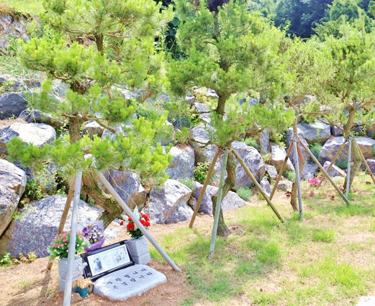  자연장 평장묘 차이와 특징