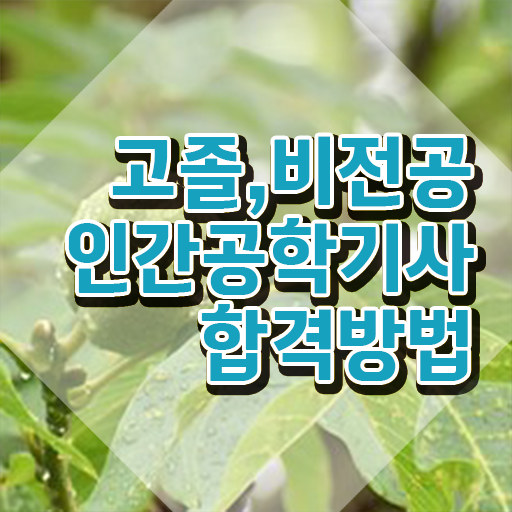 인간공학기사 학점은행제 , 인간공학기사 취득자격 인강만 듣고 빠르게 준비한 방법 인간공학기사 학점은행제 , 인간공학기사 취득자격 인강만 듣고 빠르게 준비한 방법