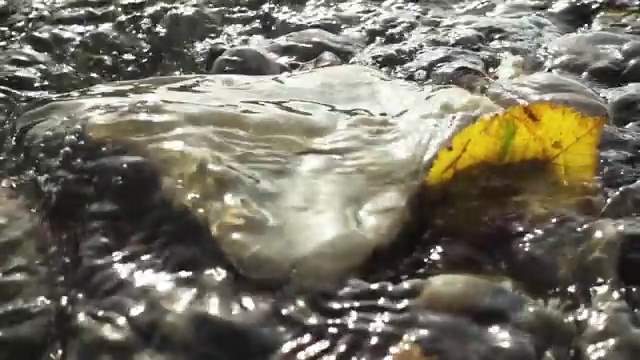  돌봄교사 월급 , 방과후돌봄교실지도사 자격증 취득한 정보 정보 모두 드려요