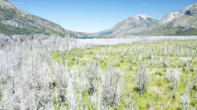  부동산토지매매수수료 , 부동산자산관리전문가 부동산자산관리사자격증 취득한 노하우 , 채용전망