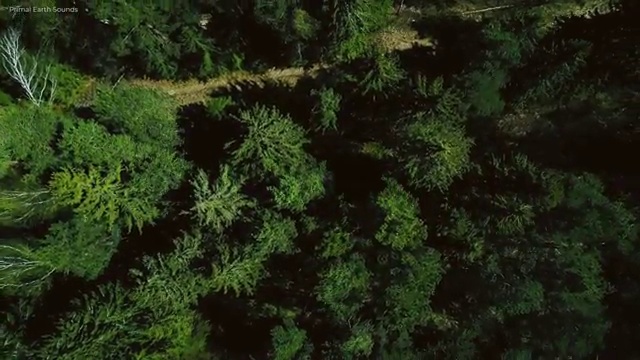  학점은행제 학점 계산 경단녀를 위해 스케쥴을 꼼꼼하게 관리해주는 학점은행제 학습플래너 확인해보세요