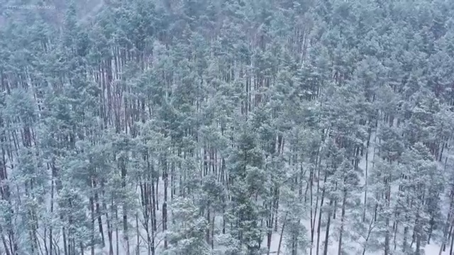  산업안전지도사 채용 , 안전지도사 자격증 온라인으로 쉽게 합격한 전략 및 활용 방법
