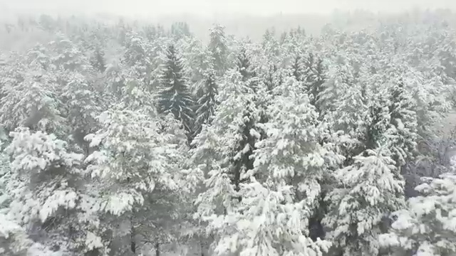  심리상담사모집 , 심리상담사 자격증 한달 만에 합격한 팁 요약해봤어요