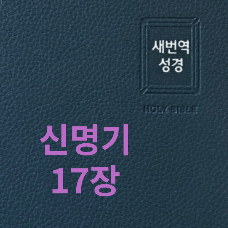 신명기 17장 신명기 17장