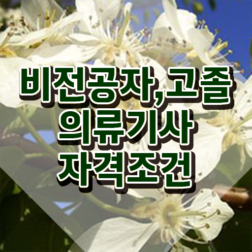  의류기사 시험 자격 의류기사 시험응시조건 인강으로 간편하게 완료한 비법