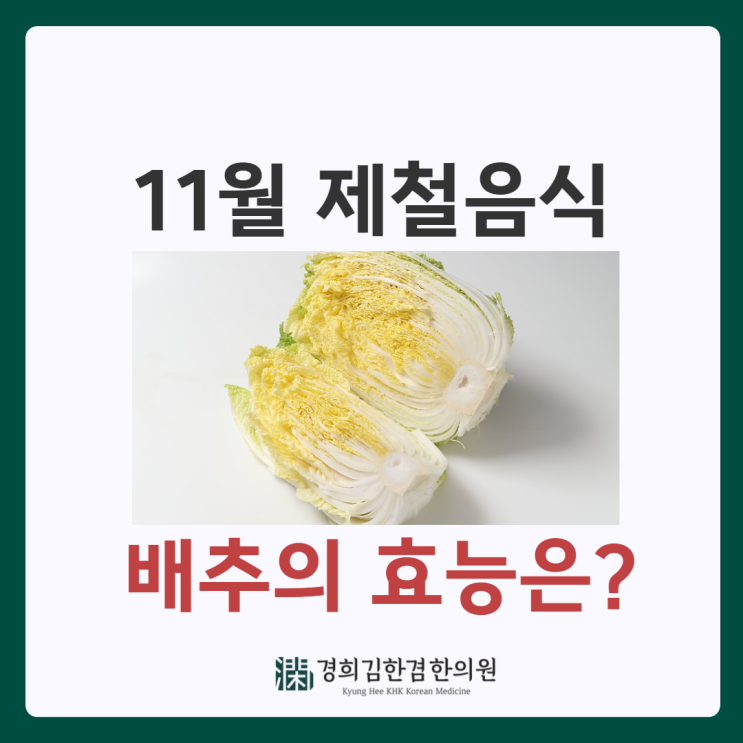  비타민C까지 풍부한 채소, 배추의 효능 및 칼로리는