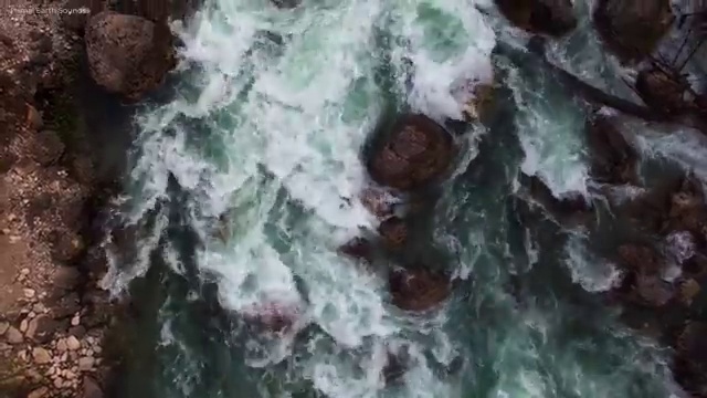  병원동행도우미 병원동행 자격증 합격한 팁 및 합격률 및 취업