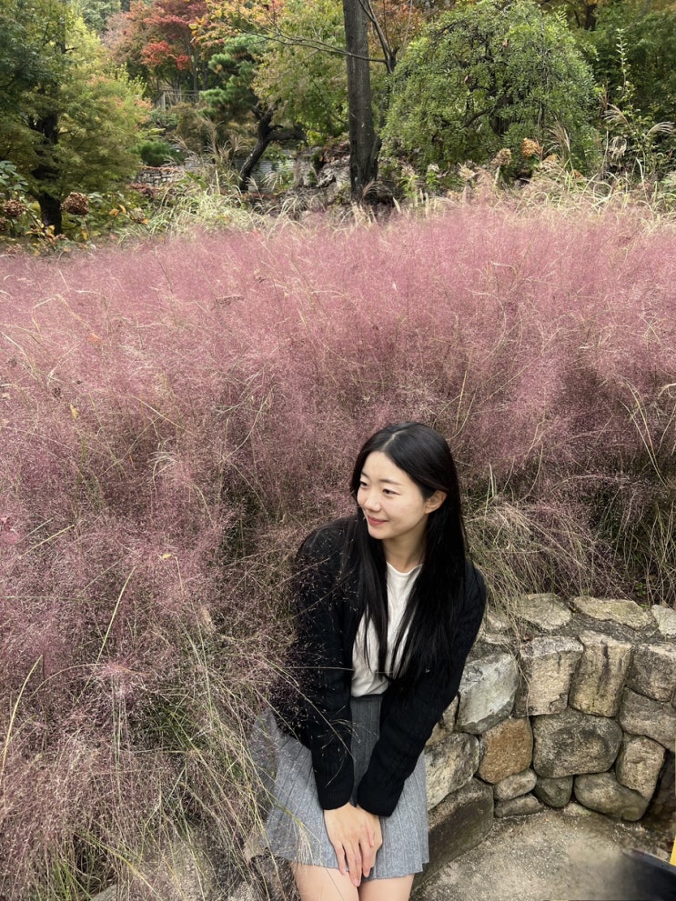  2024.Oct | 3. 여행은 즐거워(일상,화담숲,강릉)