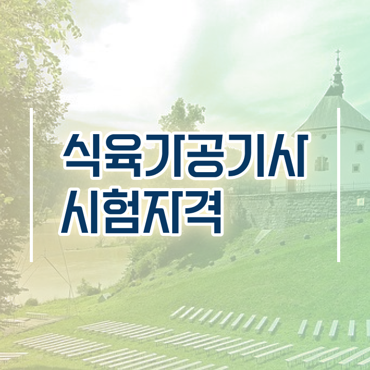  식육가공기사 응시자격 집에서 온라인으로 간편하게 끝낸 전략