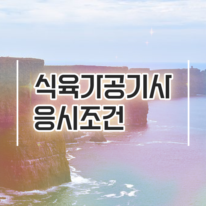  식육가공기사 시험자격 독학으로 빠르게 완료한 후기