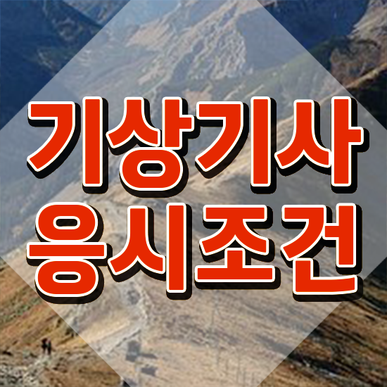  기상기사 전망 기상기사 응시조건 온라인 수업으로 단기간에 성공한 후기