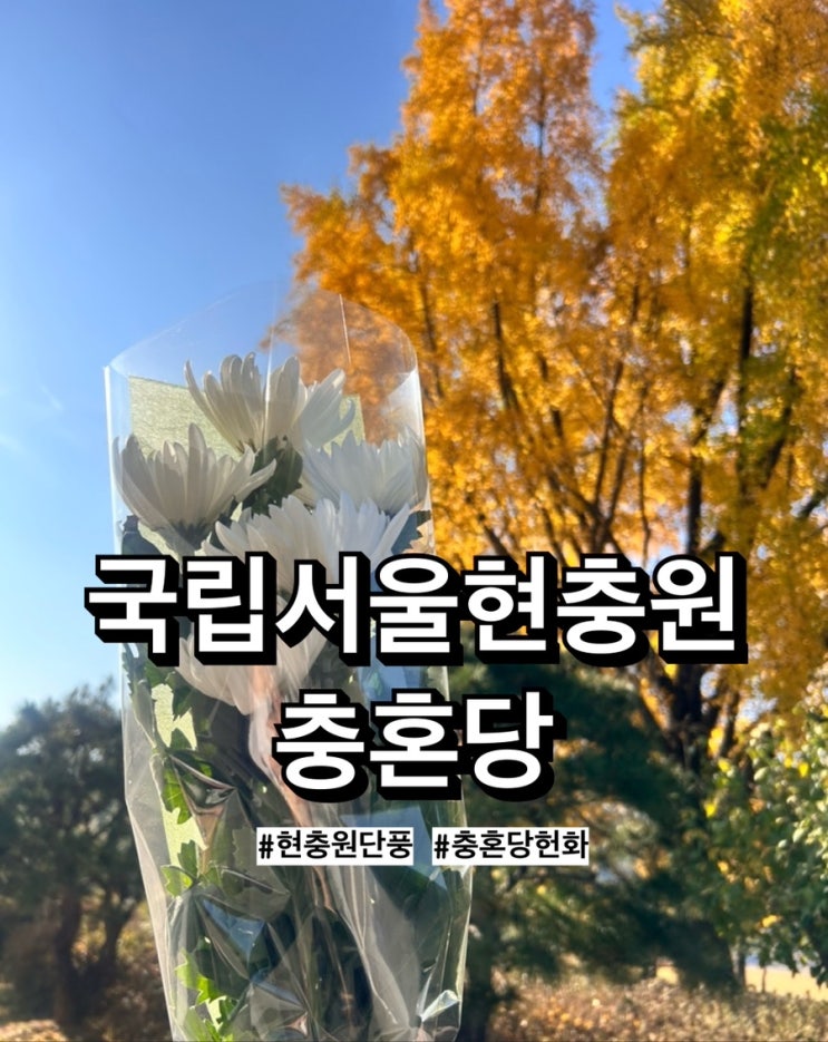  국립서울현충원 충혼당 헌화, 현충원 단풍구경