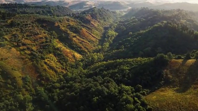  타로카드 배우기 , 타로상담전문가 타로상담전문가자격증 동영상으로 합격 비법