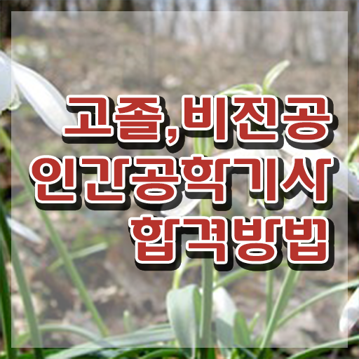  인간공학기사 전망 , 인간공학기사 자격요건 온라인으로 빠르게 완료한 후기