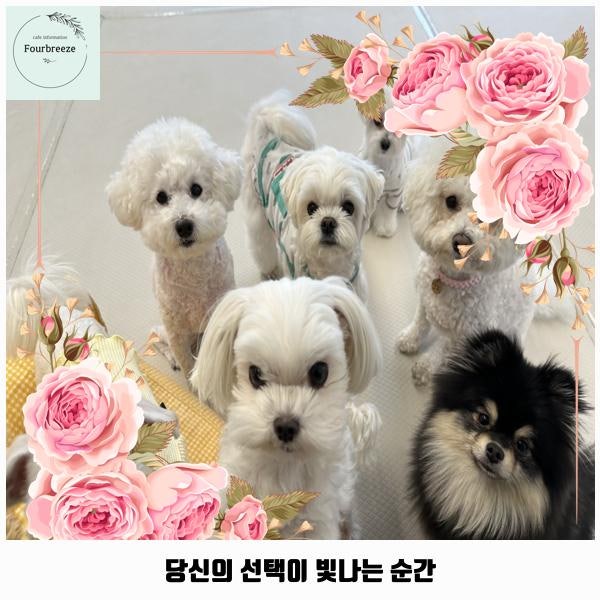 사진 6