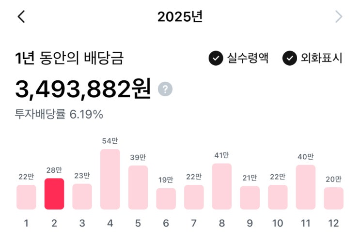  지금까지의 연간 배당 현황과 앞으로의 목표 feat. 배당금으로 월세내기