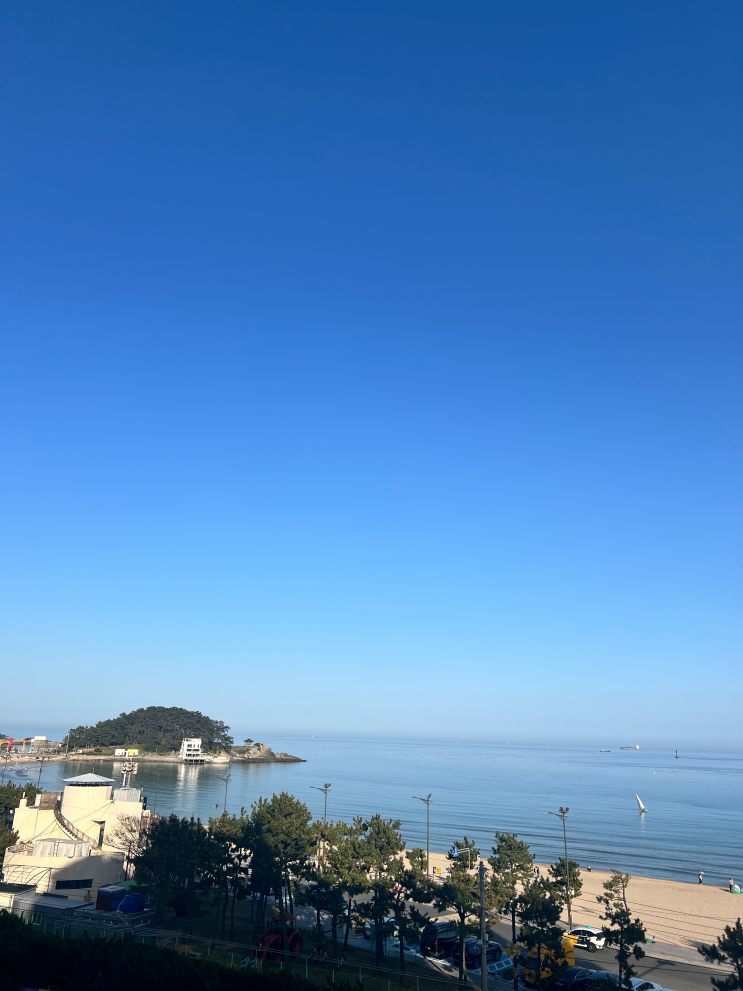 날개와 상승 기류