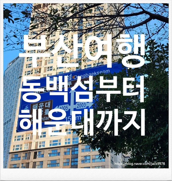  [부산여행] 동백섬에서 해운대까지의 도보 여행