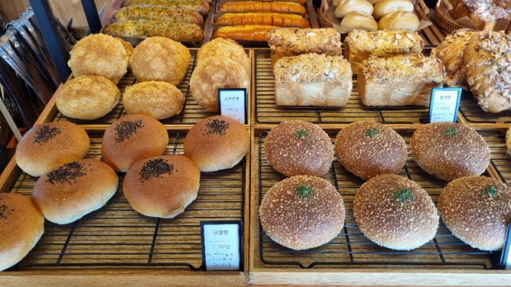  동두천맛집 대형 베이커리카페 브레드타임