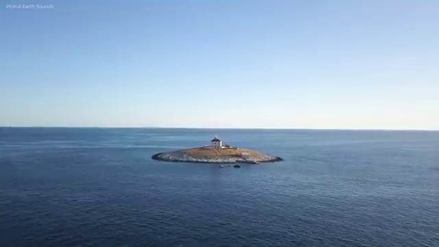  꽃꽂이방법 택배 , 플로리스트 자격증 독학으로 준비한 방법 및 채용 정보