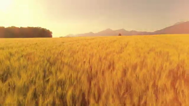  경영학 이론 , 경영학 학위 관련학과 졸업장, 경력없어도 온라인 수업만으로 초단기 성공한 전략