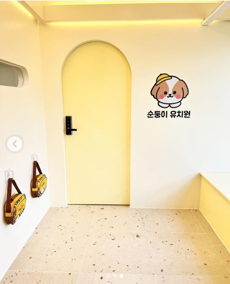 사진 6