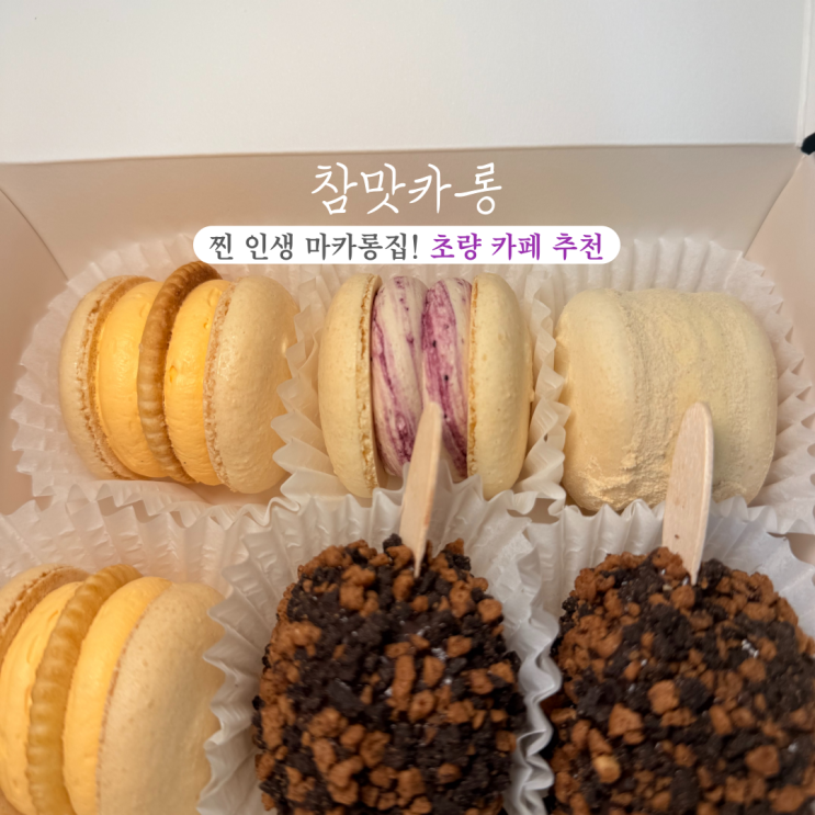  [부산 동구] 참맛카롱 : 초량 인생 마카롱집! 돼지바, 황치즈, 인절미 마카롱 맛집, 초량 카페 추천