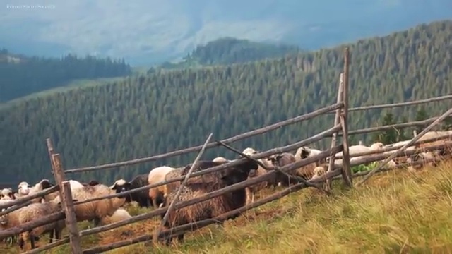  사회복지 공무원기출문제 , 사회복지사2급 고졸도 인강으로 편하게