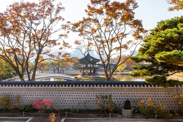  경복궁 _ 건청궁, 향원정 특별 프로그램 '조선의 빛과 그림자'