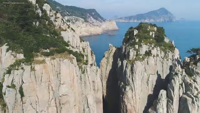  , 바리스타 자격증 학습한 후기 보고가세요