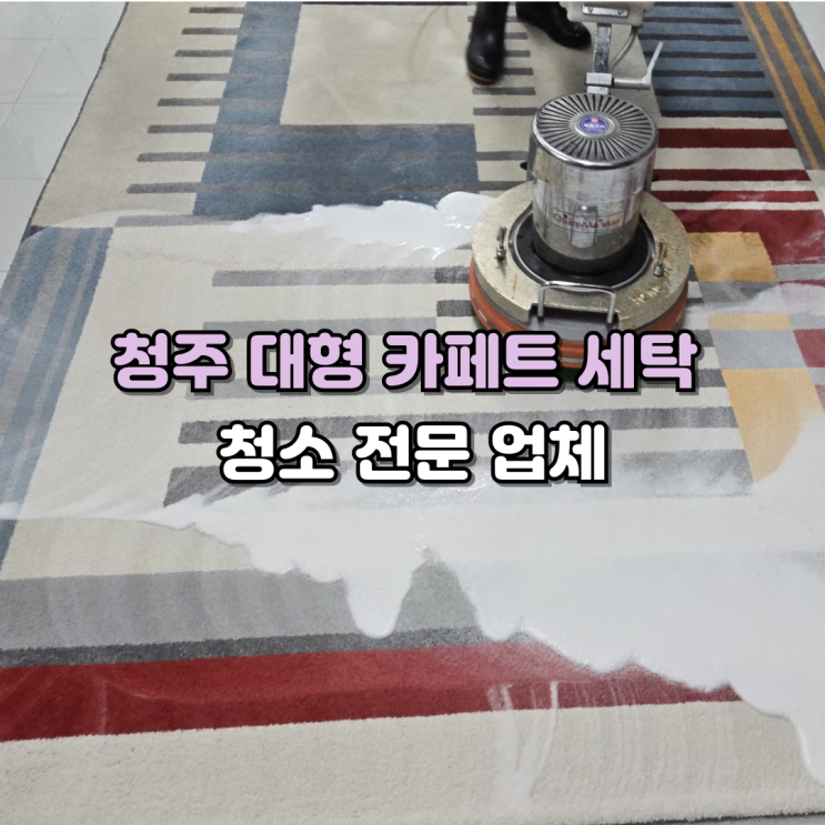  청주 카페트 세탁 전문업체에 맡겨주세요