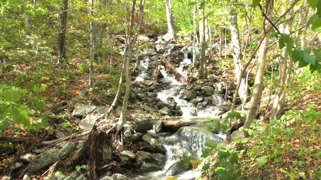  부동산 수업 , 부동산권리분석사자격증 준비한 방법 및 온라인 무료강의