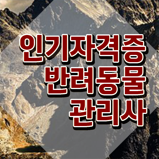 반려동물 생활관리사 , 반려동물관리사 자격증 온라인 교육으로 취득한 정보 핵심 정보 정리