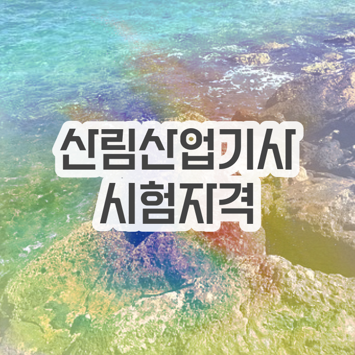  산림산업기사 자격요건 산림산업기사 시험응시조건 독학으로 간편하게 성공한 노하우