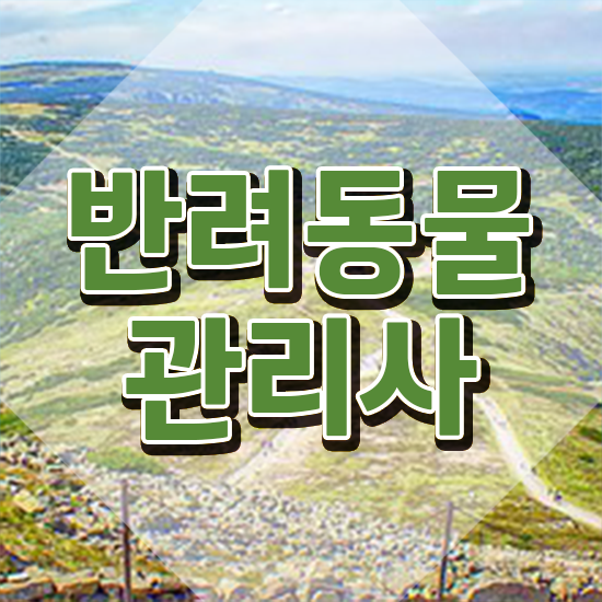  반려동물관리사 국가자격증 , 반려동물관리사 자격증 직장인도 쉽게 취득한 과정 확인하기
